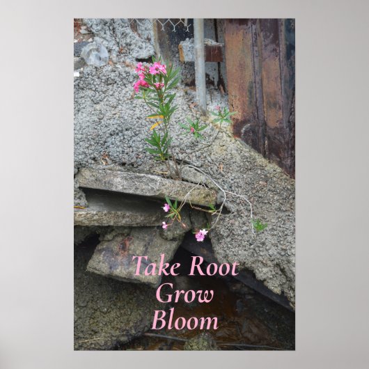 Floral neemt roetbloem fotografisch poster (Voorkant)