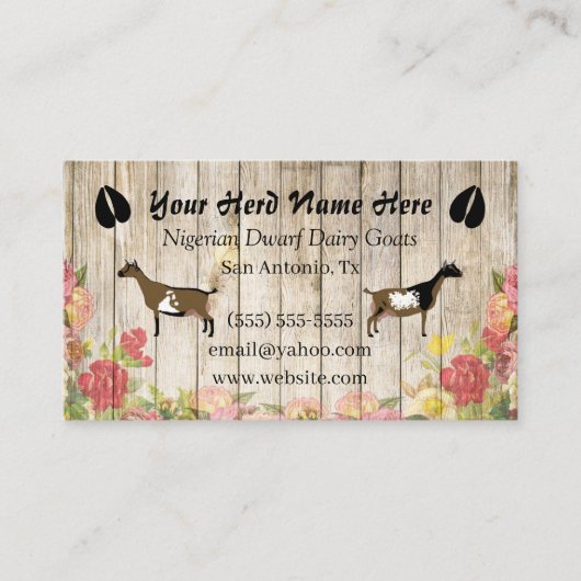 Floral Nigerian Dwarf Dairy Goat Visitekaartje (Voorkant)