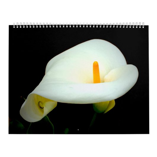 Floral op zwart kalender (Hoes)