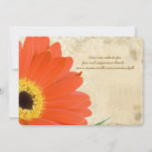 Floral Oranje koraal Gerber Daisy Lace Wedding Kaart (Achterkant)