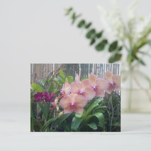 Floral, orchideeën briefkaart (Staand voorkant)