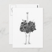Floral ostrich briefkaart (Voorkant / Achterkant)