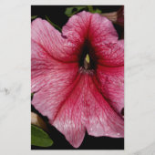 Floral Outburst Briefpapier (Voorkant)