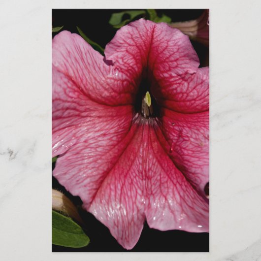 Floral Outburst Briefpapier (Voorkant)