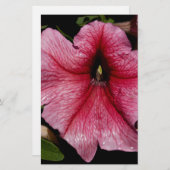 Floral Outburst Briefpapier (Voorkant / Achterkant)