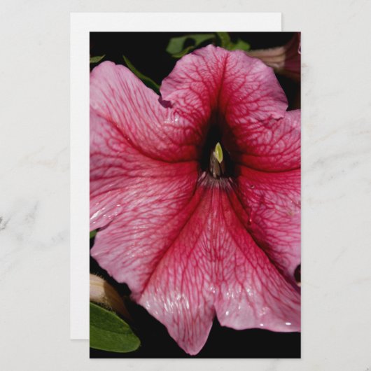 Floral Outburst Briefpapier (Voorkant / Achterkant)