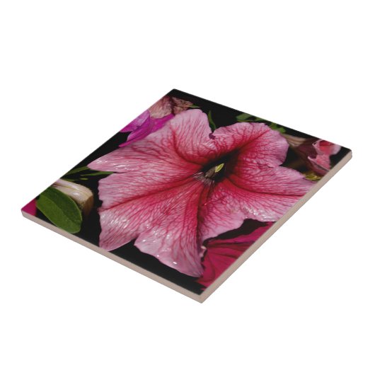 Floral Outburst Tegeltje (Zijkant)