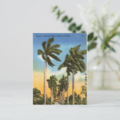 Floral Palm Trees Vintage Florida Briefkaart (Staand voorkant)