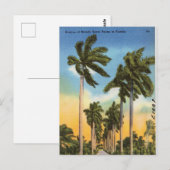 Floral Palm Trees Vintage Florida Briefkaart (Voorkant / Achterkant)