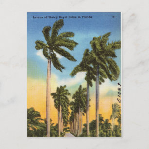 Floral Palm Trees Vintage Florida Briefkaart