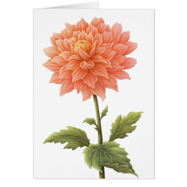 Floral Peach Oranje Dahlia Flower Painting (Voorkant)