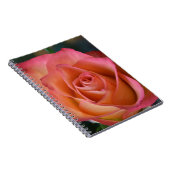 Floral Peach Pink Rose Journal of Notitieboek (Rechterzijde)