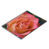 Floral Peach Pink Rose Journal of Notitieboek (Linkerzijde)
