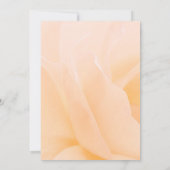 Floral Peach Roos Memorial Service Kaart (Achterkant)