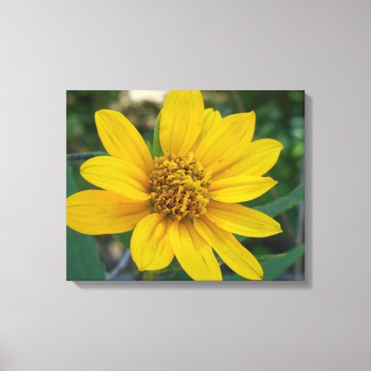 Floral Perfection in Sunshine Yellow Canvas Afdruk (Voorkant)