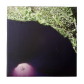 Floral Photo Ceramic Tile Tegeltje (Voorkant)