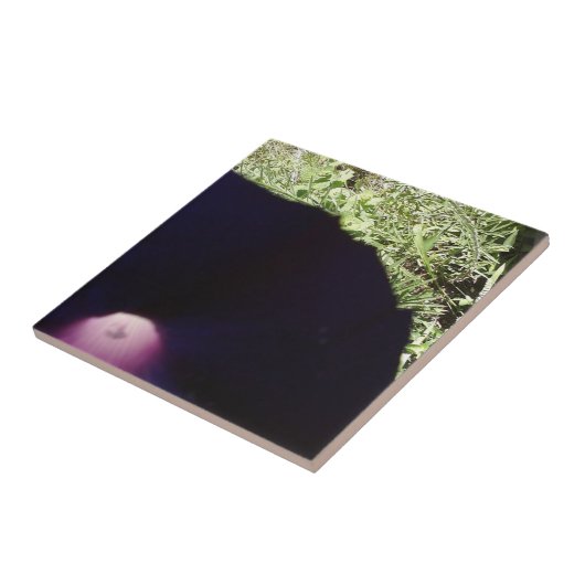 Floral Photo Ceramic Tile Tegeltje (Zijkant)