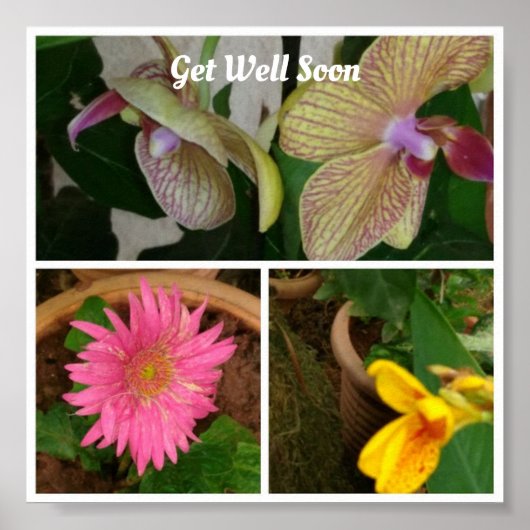 Floral Photo Collage Poster (Voorkant)