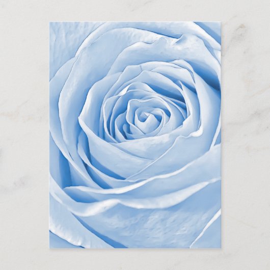 Floral Photo Dainty Light Blue Roos Briefkaart (Voorkant)
