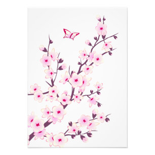 Floral Pink Cherry Blossom Foto Afdruk