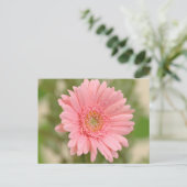 Floral Pink Gerbera Daisy Flower Hallo Love Briefkaart (Staand voorkant)