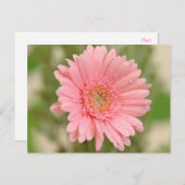 Floral Pink Gerbera Daisy Flower Hallo Love Briefkaart (Voorkant / Achterkant)