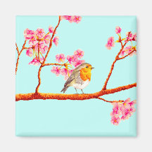 Floral Pink Spring Blossom Robin Bird