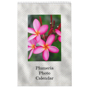Floral Plumeria Tropical Flowers Foto Kalender