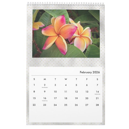 Floral Plumeria Tropical Flowers Foto Kalender (Feb 2026)