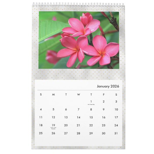 Floral Plumeria Tropical Flowers Foto Kalender (Jan 2026)