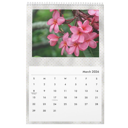 Floral Plumeria Tropical Flowers Foto Kalender (Mar 2026)