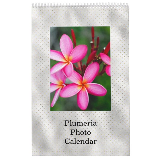 Floral Plumeria Tropical Flowers Foto Kalender (Hoes)