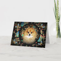 Floral Pomeranian Birthday Kaart
