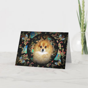 Floral Pomeranian Birthday Kaart