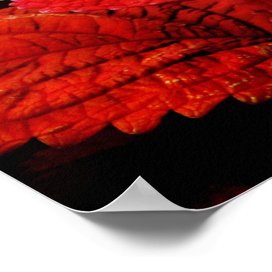 Floral Pond Poster (Hoek)