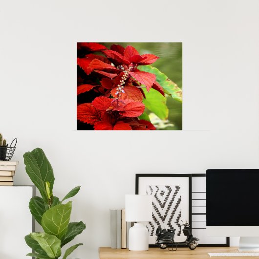 Floral Pond Poster (Thuiskantoor)