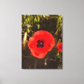 Floral Poppy Dreamer – Botanical Fantasy Art  Canvas Afdruk (Voorkant)