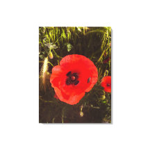 Floral Poppy Dreamer – Botanical Fantasy Art 