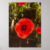 Floral Poppy Dreamer – Botanical Fantasy Art  Poster (Voorkant)