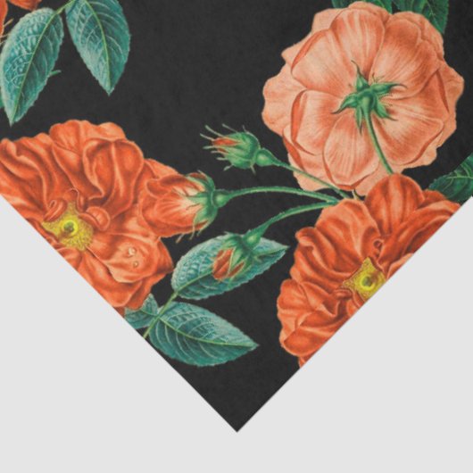 Floral Popular Tissuepapier (Detail)