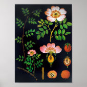  Floral Poster (Voorkant)