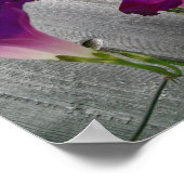 Floral Poster (Matte) (Hoek)