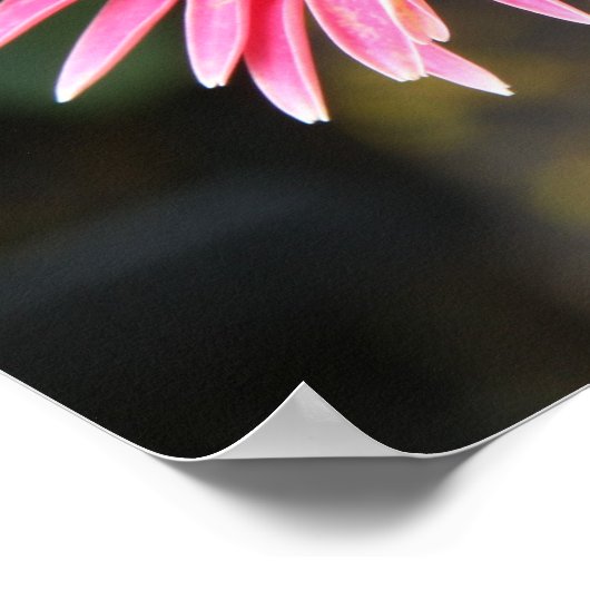 Floral Poster Scripture Verse over de kracht van G (Hoek)