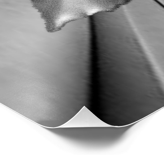 Floral Poster Silver (Hoek)