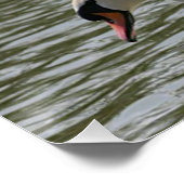 Floral Poster Sunflower Swan (Hoek)