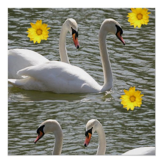 Floral Poster Swan (Voorkant)