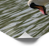 Floral Poster Swan (Hoek)