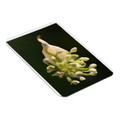 Floral Print Flexible Photo Magnet Magneet (Rechterzijde)