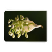 Floral Print Flexible Photo Magnet Magneet (Horizontaal)