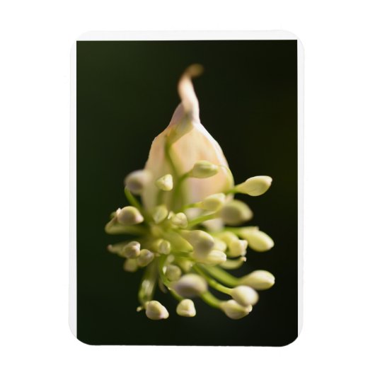 Floral Print Flexible Photo Magnet Magneet (Verticaal)